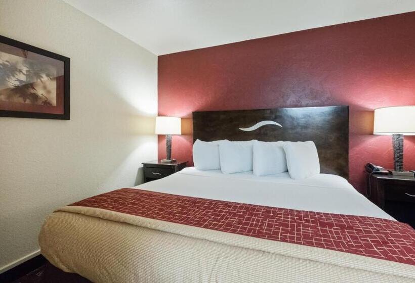 Номер Superior Кровать Кинг, Red Roof Inn Oklahoma Airport I 40 W Fairgrounds