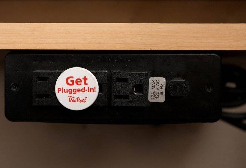 غرفه قياسيه سريرين مزدوجين, Red Roof Inn San Antonio  Airport