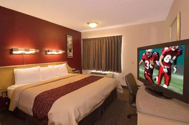 キングサイズベッドのスタンダードルーム, Red Roof Inn San Antonio  Airport