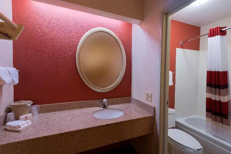 キングサイズベッドのスタンダードルーム, Red Roof Inn San Antonio  Airport