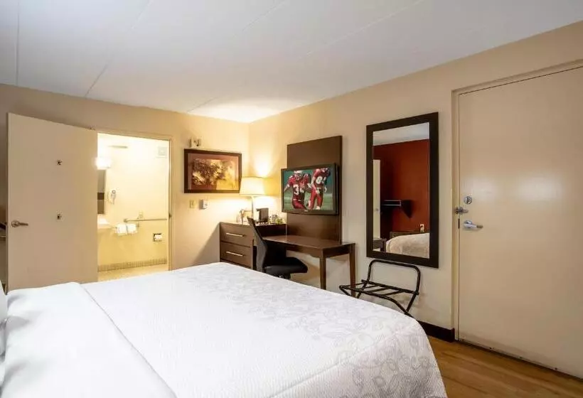 身障者適用キングサイズベッドルーム, Red Roof Inn Plus+ Baltimore North   Timonium