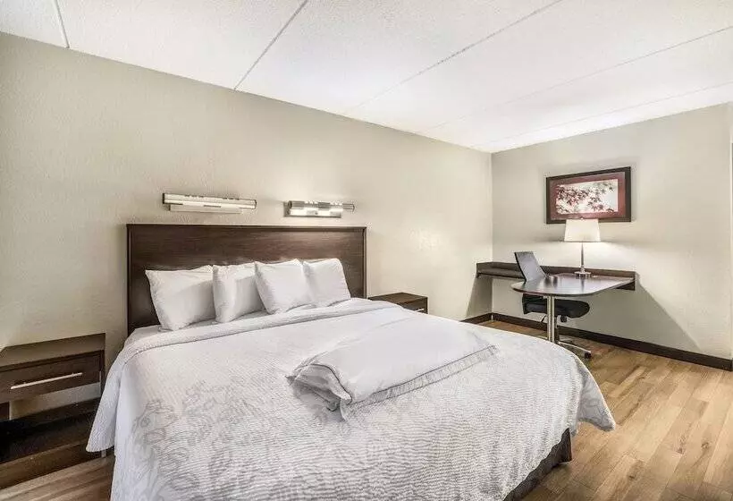 اتاق پرمیوم, Red Roof Inn Plus+ Boston Woburn/ Burlington