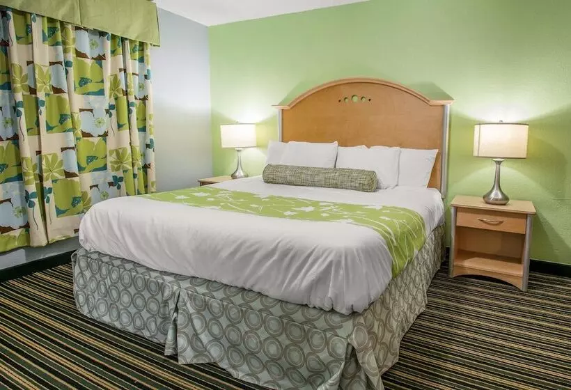 スイート, Rodeway Inn & Suites Winter Haven Chain Of Lakes