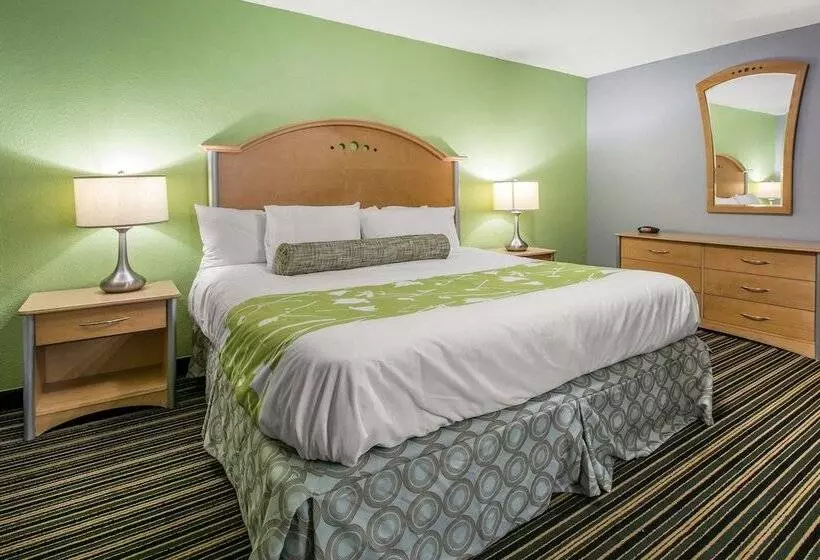 スイート, Rodeway Inn & Suites Winter Haven Chain Of Lakes