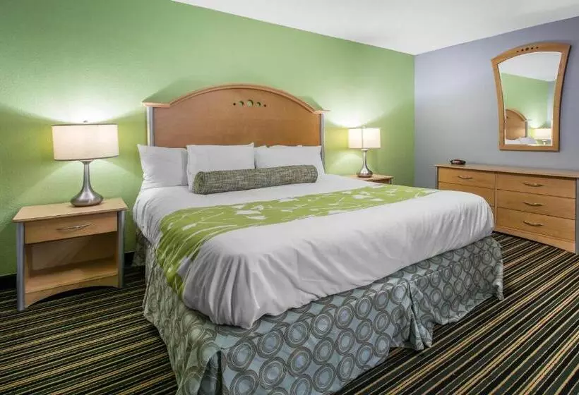 キングサイズベッドのスタンダードルーム, Rodeway Inn & Suites Winter Haven Chain Of Lakes