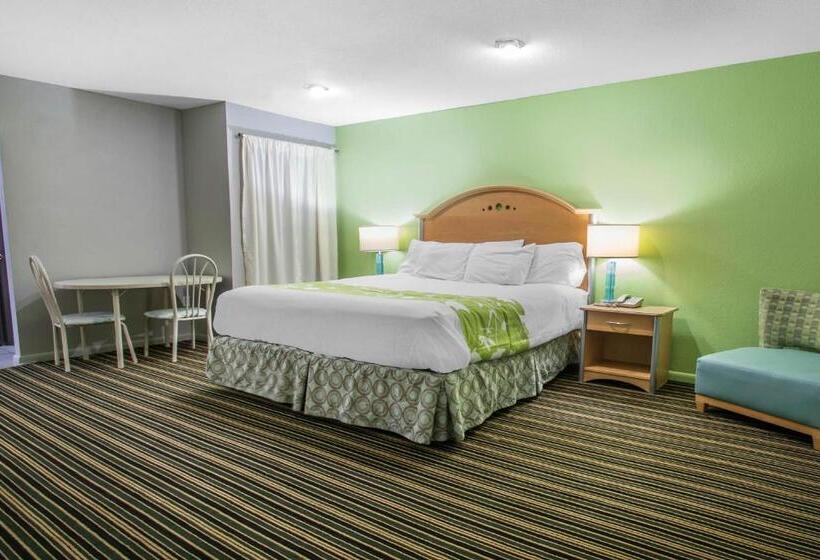 غرفة قياسية سرير كينج, Rodeway Inn & Suites Winter Haven Chain Of Lakes