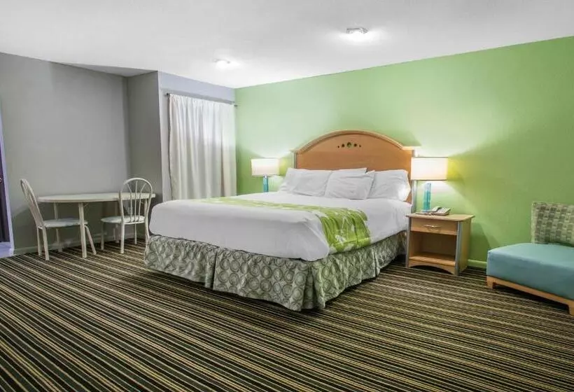 キングサイズベッドのスタンダードルーム, Rodeway Inn & Suites Winter Haven Chain Of Lakes