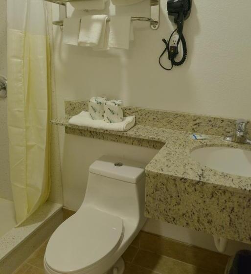 اتاق استاندارد با تخت بزرگ, Rodeway Inn & Suites Winter Haven Chain Of Lakes