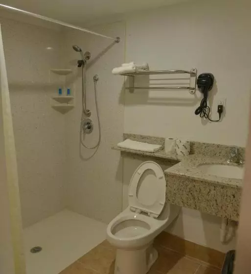 身障者適用スタンダードルーム, Rodeway Inn & Suites Winter Haven Chain Of Lakes