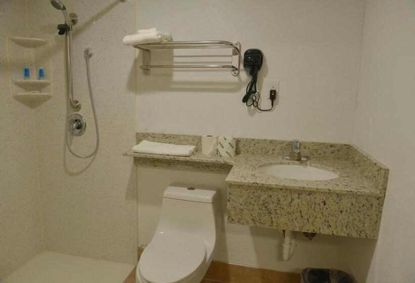 اتاق استاندارد برای معلولان, Rodeway Inn & Suites Winter Haven Chain Of Lakes