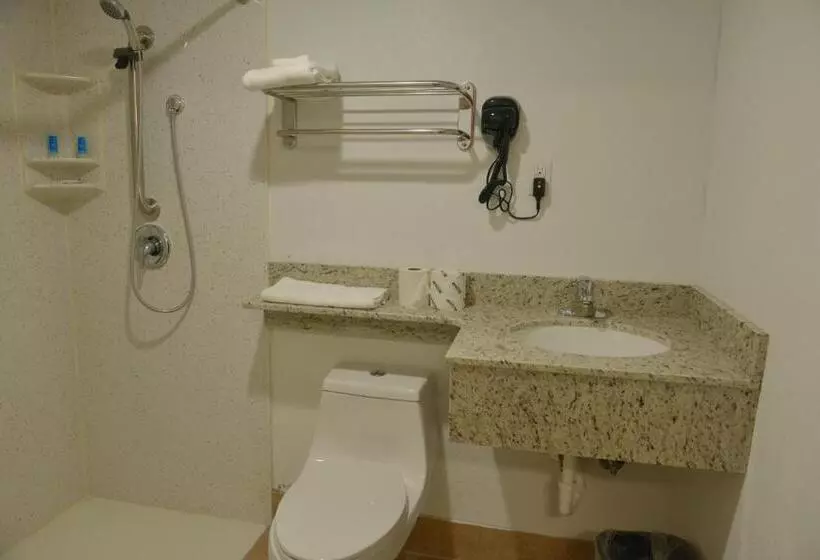 身障者適用スタンダードルーム, Rodeway Inn & Suites Winter Haven Chain Of Lakes