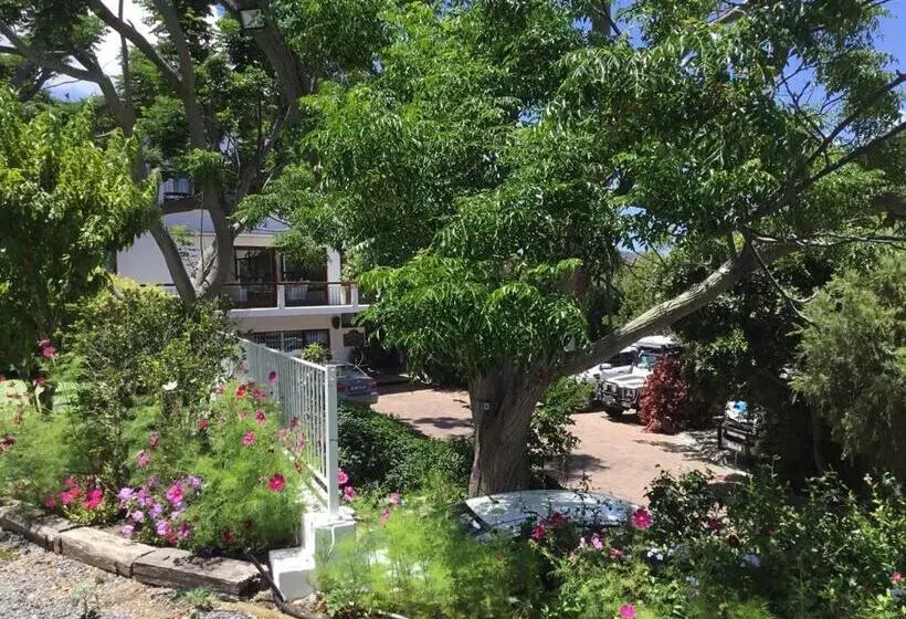 オーシャンビュースタンダードルームバルコニー付き, Oceangolf Guest House
