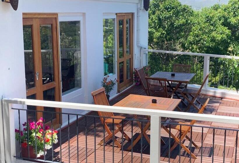 Номер Стандарт Вид на Море с Балконом, Oceangolf Guest House