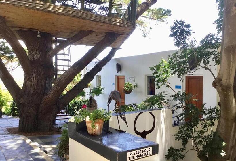 شقة غرفة واحدة, Oceangolf Guest House