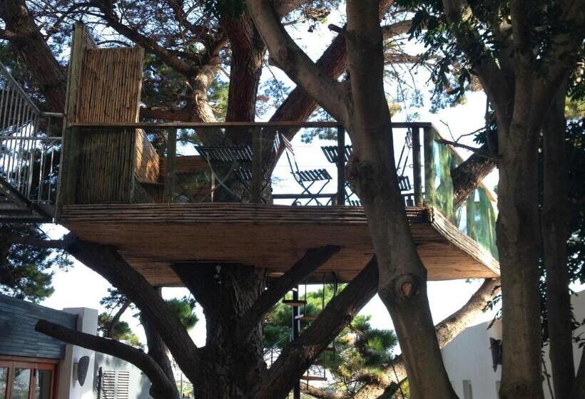 شقة غرفة واحدة, Oceangolf Guest House