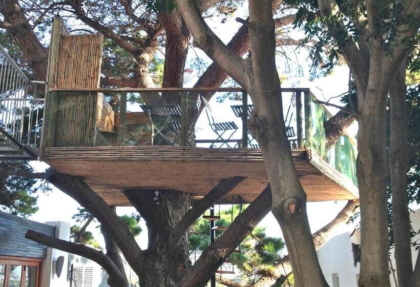 شقة غرفتين, Oceangolf Guest House