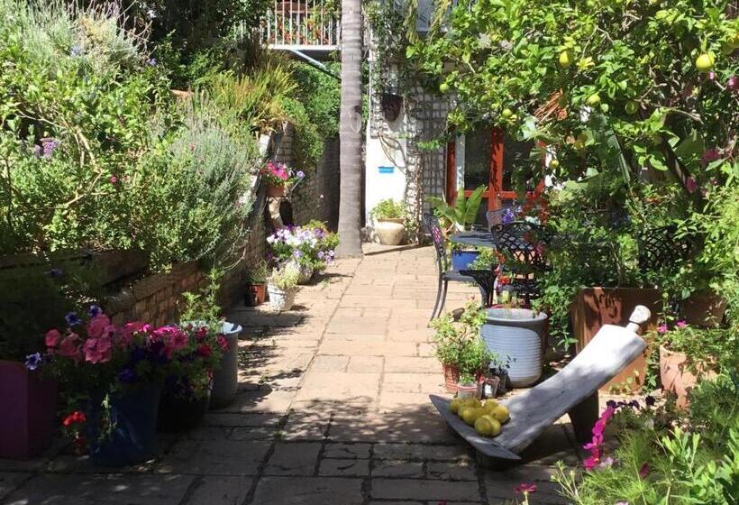 شقة غرفة واحدة مزودة بتراس, Oceangolf Guest House