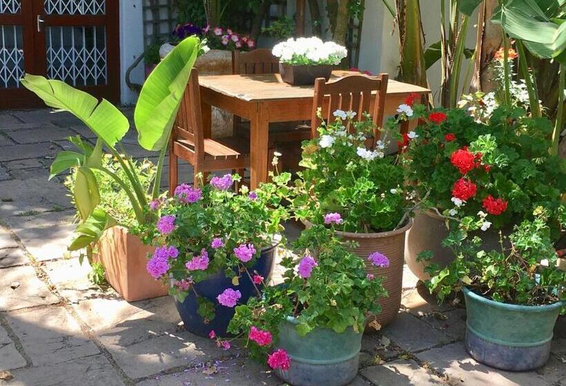 شقة غرفة واحدة مزودة بتراس, Oceangolf Guest House