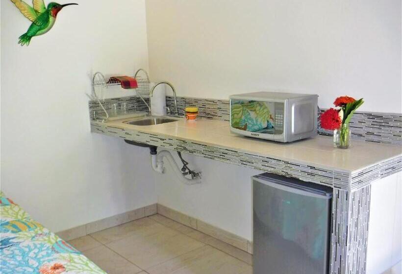 스탠다드 스튜디오, Coco Beach Village