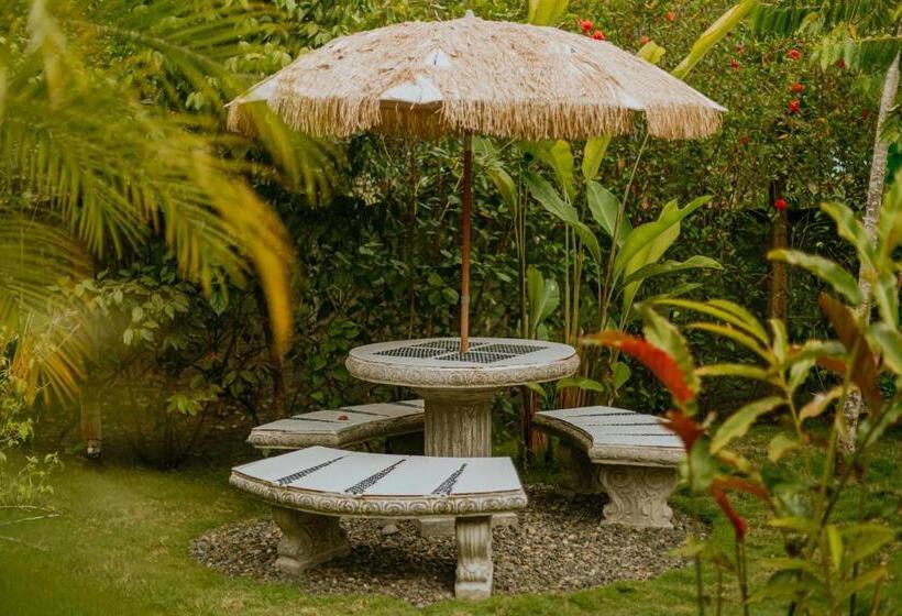 스탠다드 스튜디오 킹침대, Coco Beach Village