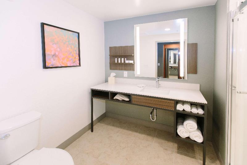 חדר דחוקס עם מיטת קינג, Hilton Garden Inn Winter Park