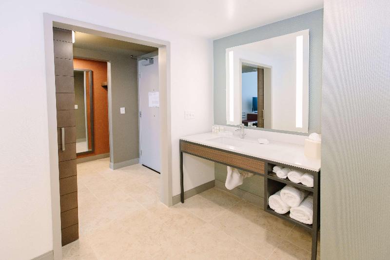اتاق لوکس با تخت بزرگ, Hilton Garden Inn Winter Park