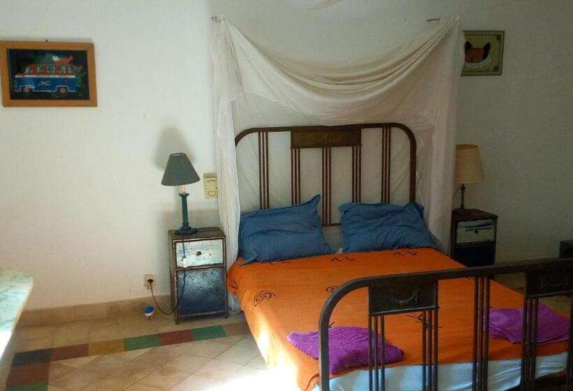 آپارتمان 1 خوابه, Maison Augustin Ly