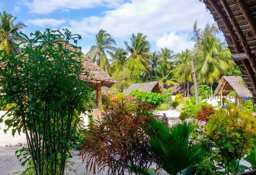 Номер Стандарт Вид на Сад, Paje Beach Bandas