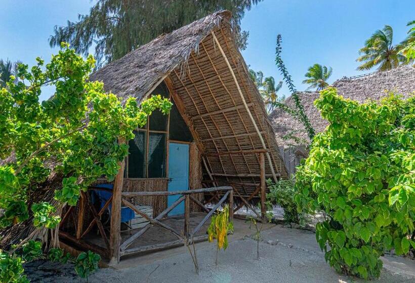 Номер Стандарт Вид на Сад, Paje Beach Bandas