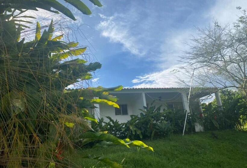 Номер Deluxe, San Juan De Los Guayabos