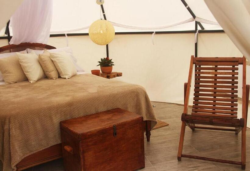 Standard Tent, San Juan De Los Guayabos