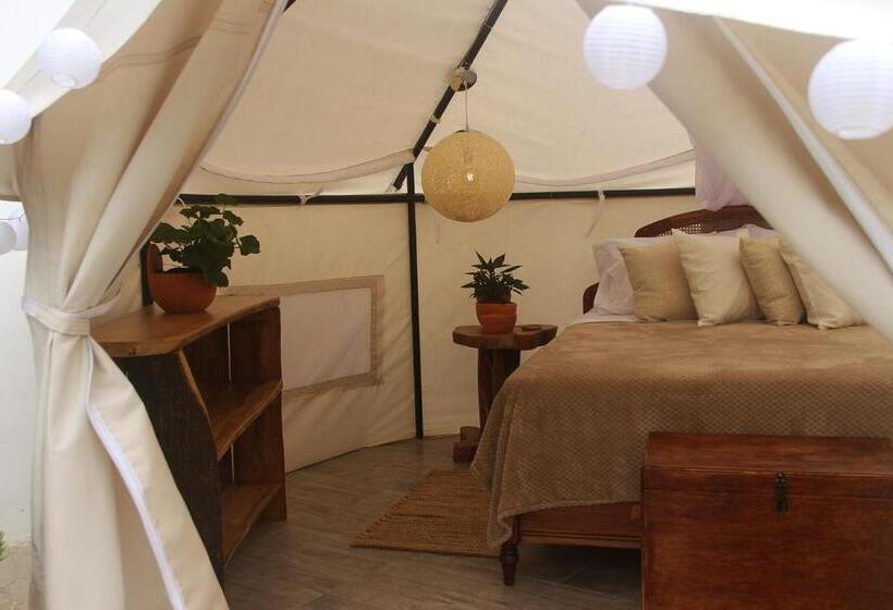 Standard Tent, San Juan De Los Guayabos