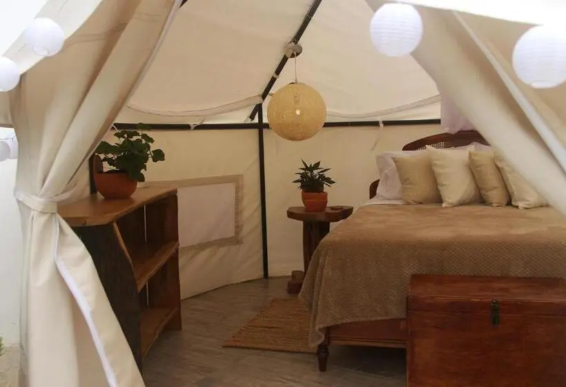 Standard Tent, San Juan De Los Guayabos