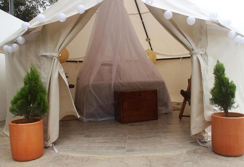 Standard Tent, San Juan De Los Guayabos