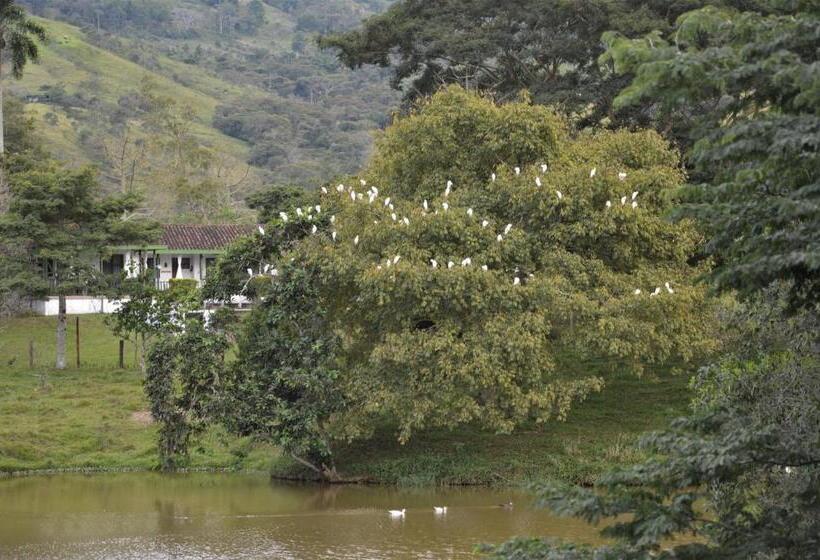 Номер Deluxe, San Juan De Los Guayabos