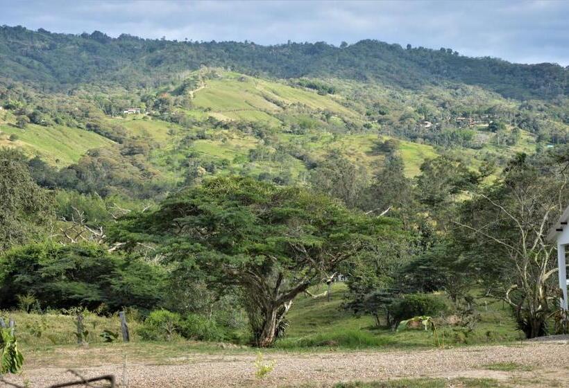 Номер Deluxe, San Juan De Los Guayabos