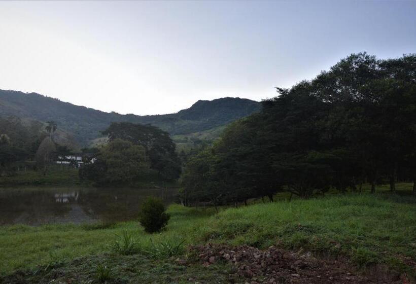 Номер Deluxe, San Juan De Los Guayabos