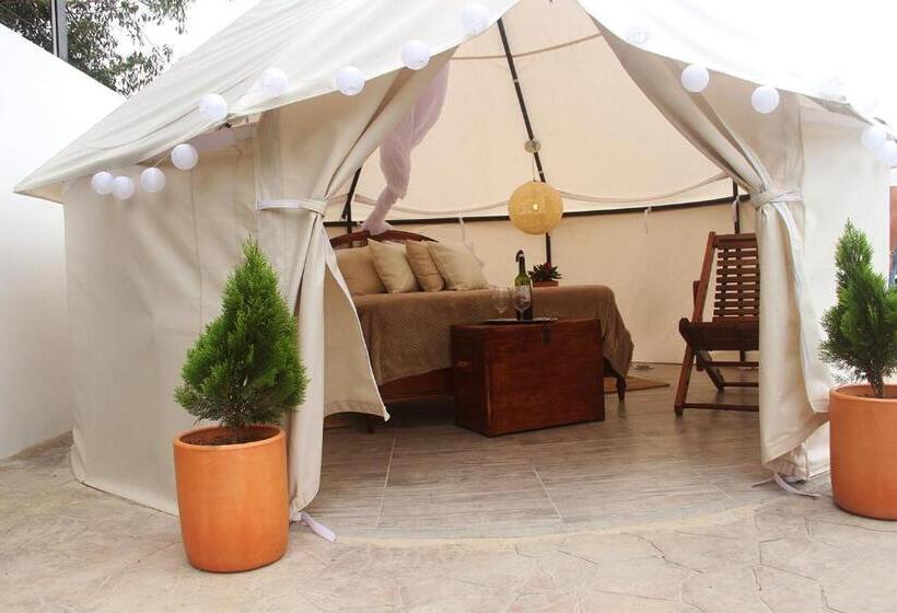 Standard Tent, San Juan De Los Guayabos