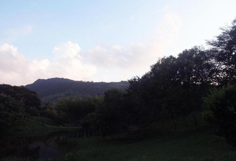 Standard Tent, San Juan De Los Guayabos