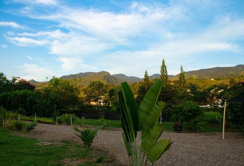 Standard Tent, San Juan De Los Guayabos