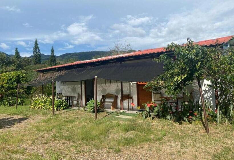 Номер Deluxe, San Juan De Los Guayabos