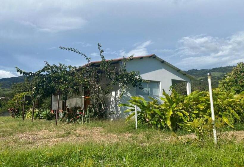 Номер Deluxe, San Juan De Los Guayabos