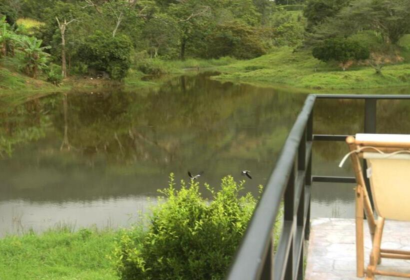 Номер Deluxe, San Juan De Los Guayabos