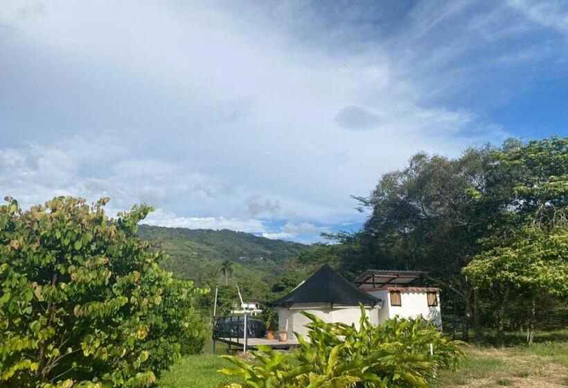 Standard Tent, San Juan De Los Guayabos