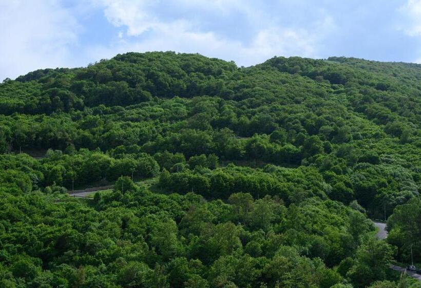 سوییت اجرایی, Aurora Resort By Stellar Hotels, Tsaghkadzor