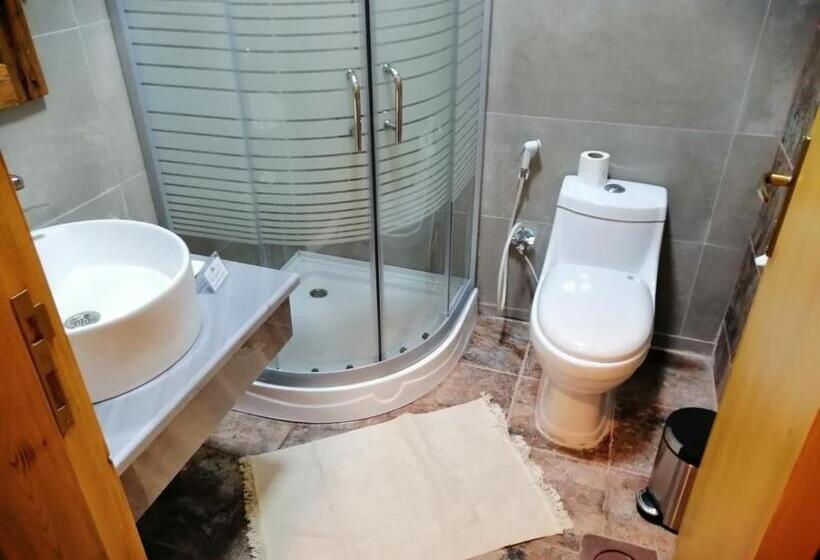 اتاق استاندارد با چشم‌انداز کوهستان, Infinity Lodge