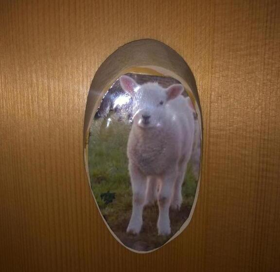 スタンダードトリプルルーム, Kubovka 63