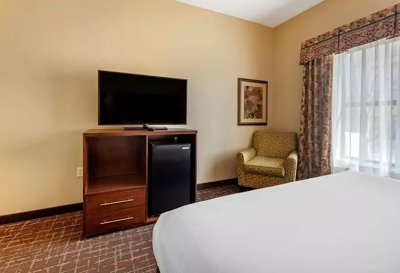 Sviitti, Comfort Inn & Suites Shawnee North Near I40