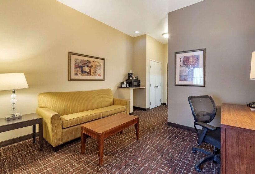 Люкс, Comfort Inn & Suites Shawnee North Near I40