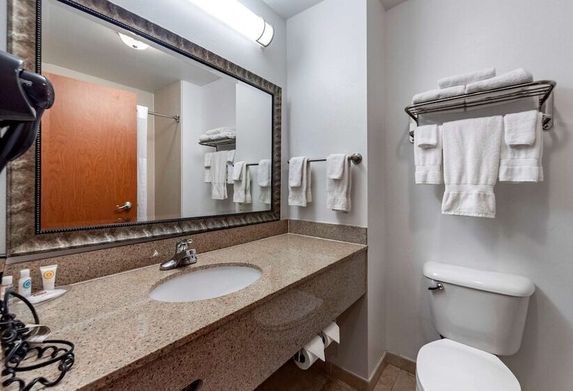 جناح, Comfort Inn & Suites Shawnee North Near I40